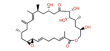 Amphidinolide G